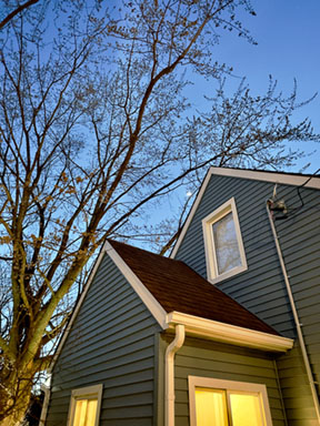 house and tree at twilight